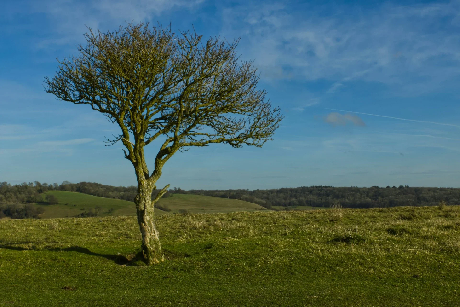 Ivinghoe, Leighton Buzzard.